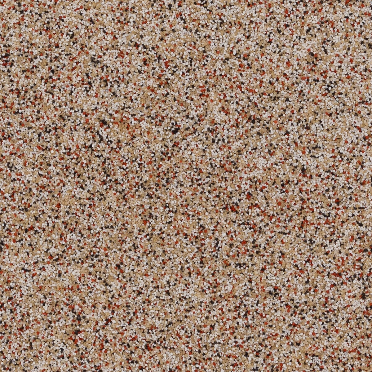 Colored Quartz - Sandpiper 40-S QB-2020