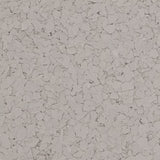 Solid Color Flakes Selection 2