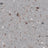 Micas Dusk mica flake