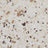 Brownstone Persian color flake, 1/4 inch