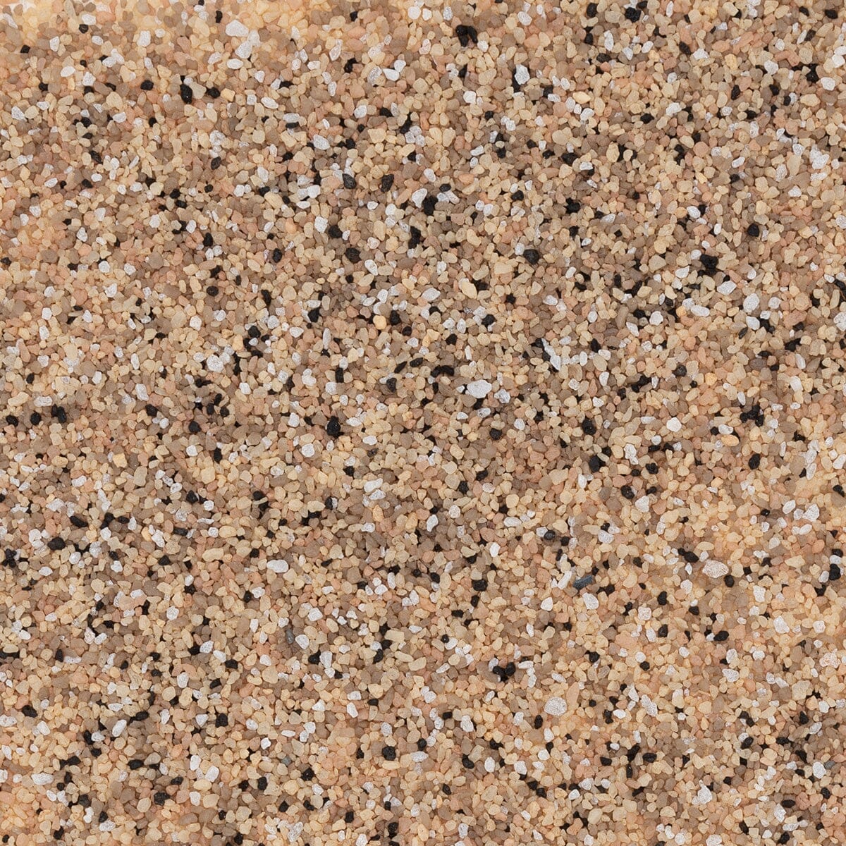 Colored Quartz - Biscuit 25-A QB-1013