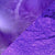 Magic Purple Pigment - Coloredepoxies 