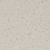 Color Palette - Coloredepoxies | Ivory | F1425