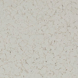 Color Palette - Coloredepoxies | Eggshell | F9986