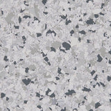 Terrazo Flake - Coloredepoxies | Juneau | FB-4205